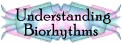 What are Biorhythms?